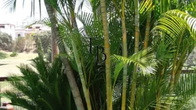Chalet in Hato Verde photo 19