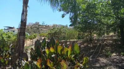Rustic Finca in Álora photo 66