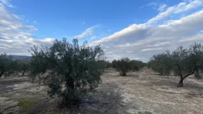 Casa – Biar, l'Alt Vinalopó / El Alto Vinalopó - Más