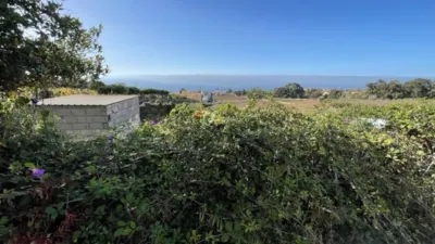 Rustic Finca in Tacoronte photo 10