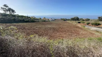 Rustic Finca in Tacoronte photo 12