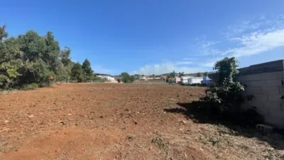 Rustic Finca in Tacoronte photo 13