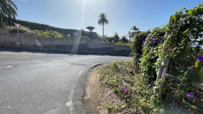 Rustic Finca in Tacoronte photo 14