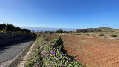 Rustic Finca in Tacoronte photo 15
