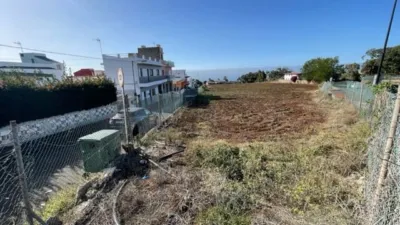 Rustic Finca in Tacoronte photo 16
