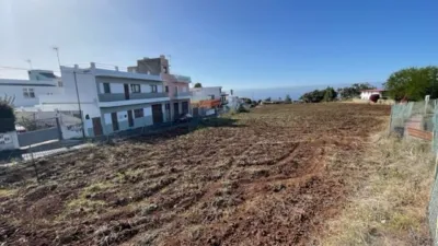 Rustic Finca in Tacoronte photo 17