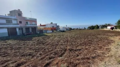 Rustic Finca in Tacoronte photo 19