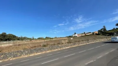 Rustic Finca in Tacoronte photo 20