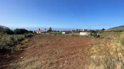Rustic Finca in Tacoronte photo 3