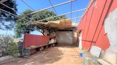 Rustic Finca in Tacoronte photo 40