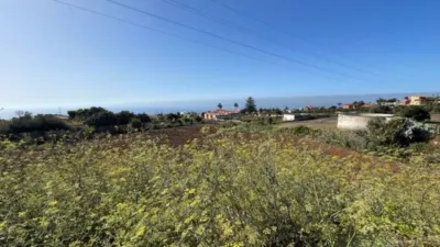 Rustic Finca in Tacoronte photo 4
