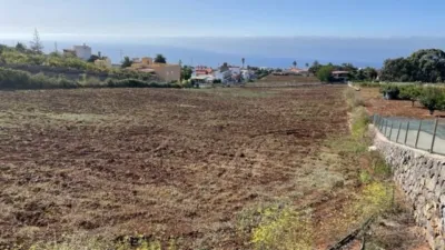Rustic Finca in Tacoronte photo 5