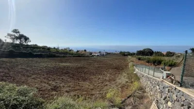 Rustic Finca in Tacoronte photo 6