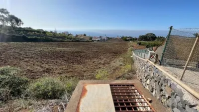 Rustic Finca in Tacoronte photo 7