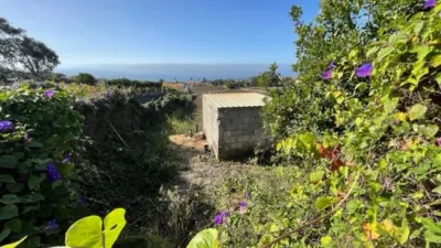 Rustic Finca in Tacoronte photo 9