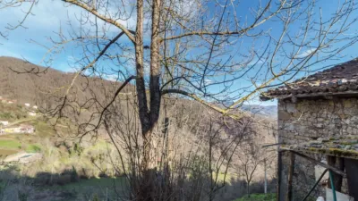 Rustic property at Calle La Iglesia, No. 19 photo 10