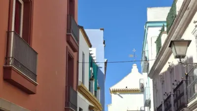Penthouse on Calería Street photo 21
