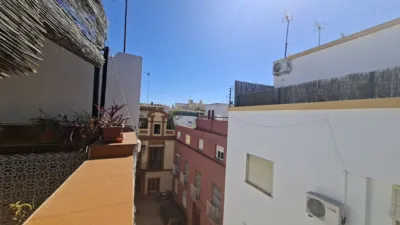 Penthouse on Calería Street photo 4