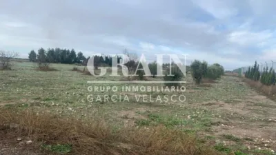 Chalet en Urb. los Cazadores photo 12