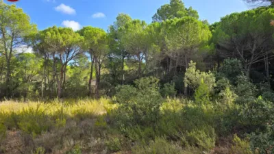 Terreno en venta en Pinares del Jucar - Vista 3