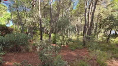 Terreno en venta en Pinares del Jucar - Vista 4
