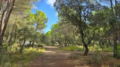 Terreno en venta en Pinares del Jucar - Més