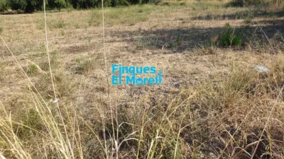Rustic Finca in Vilallonga del Camp photo 5
