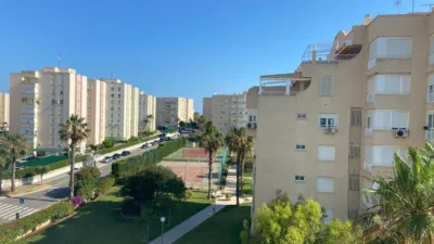 Pis – Alicante - Alacant - Vista 4