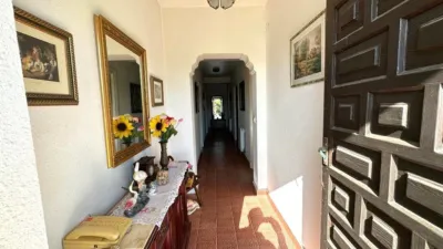 House in Arnuero photo 23