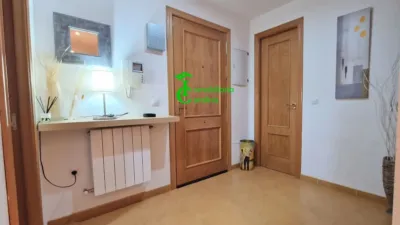 Apartment in La Carolina photo 3