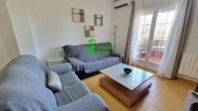 Apartment in La Carolina photo 8