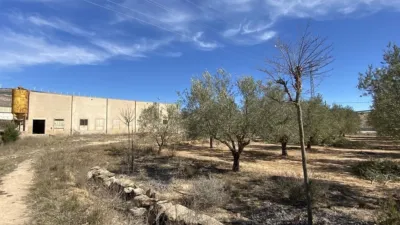 Terreno en venta en Calle Club de Tenis - Vista 3