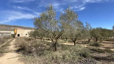 Terreno en venta en Calle Club de Tenis - Vista 4