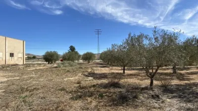 Terreno en venta en Calle Club de Tenis - Vista 5
