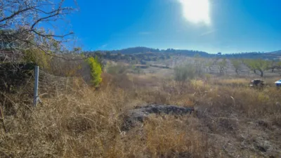 Rustic finca on Calle Pago de Retamar photo 8