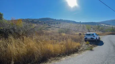 Rustic finca on Calle Pago de Retamar photo 9