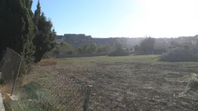 Rustic finca on Calle Horta Pimpi photo 6