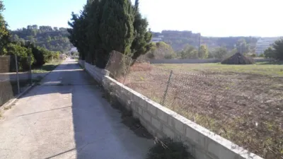 Rustic finca on Calle Horta Pimpi photo 7