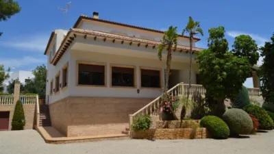 Chalet in Partida Parrita photo 2
