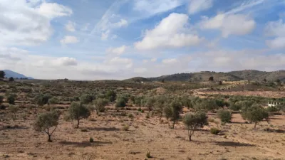 Terreno en venta en Ctra. Elda-Sax - Vista 3