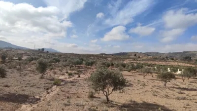 Terreno en venta en Ctra. Elda-Sax - Vista 4