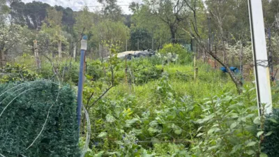 Casa en El Bosque photo 6