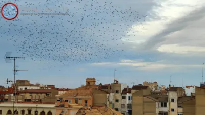 Piso – Albacete, Villacerrada-Centro - Vista 3