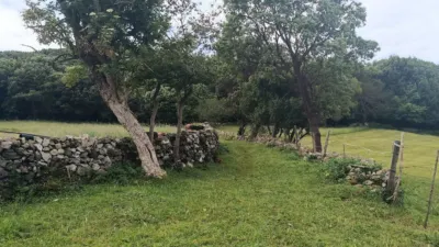 Rustic farm in Barrio del Dueso photo 21