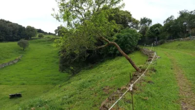 Rustic farm in Barrio del Dueso photo 8
