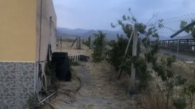Rustic finca on Carretera Nacional Tabernas photo 16