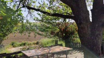 Rustic Finca in the Surroundings photo 30