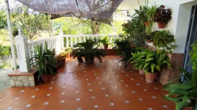 Rustic Finca in the Surroundings photo 5