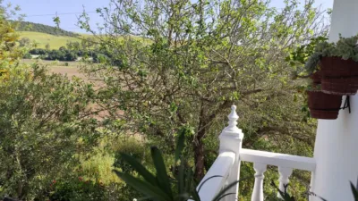Rustic Finca in the Surroundings photo 6