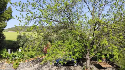 Rustic Finca in the Surroundings photo 9